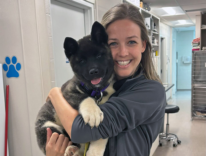 Dog Veterinarian in $city